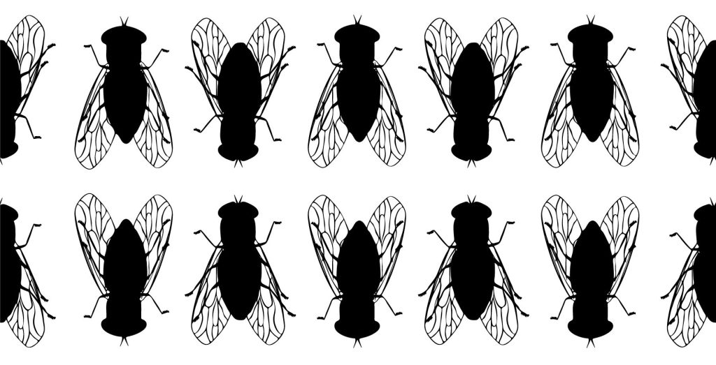 Silhouettes of horseflies repeat on white background