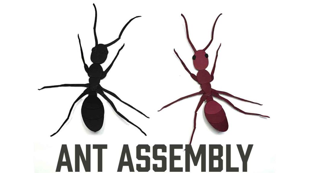 Two ants made of cardstock one black one red.  Text below says "Ant Assembly"