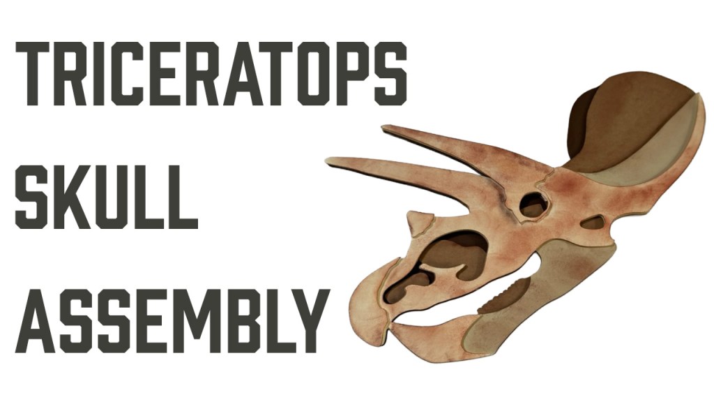 Reads "Triceratops Skull Assembly" with a photo of a Triceratops Skull Fossil craft made of card stock.