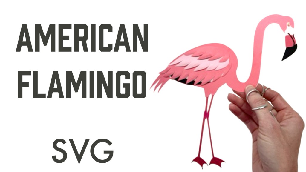 Text reads "American Flamingo SVG" to the right of a text is a picture of a hand holding an American Flamingo made of cardstock.