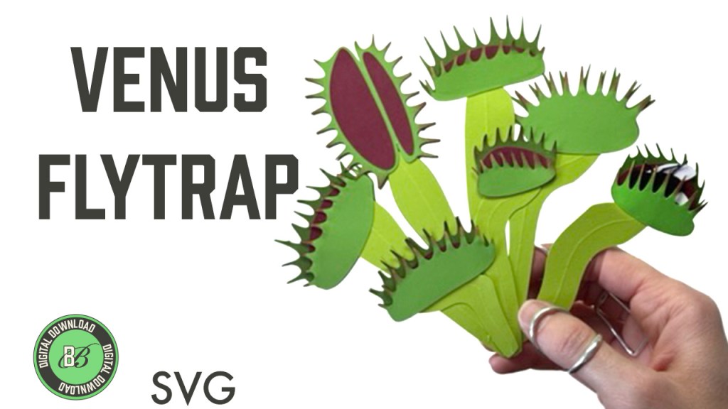 Text reads "Venus Flytrap SVG" to the right of the text is a photo of a Venus flytrap plant constructed out of card stock and being held by a hand